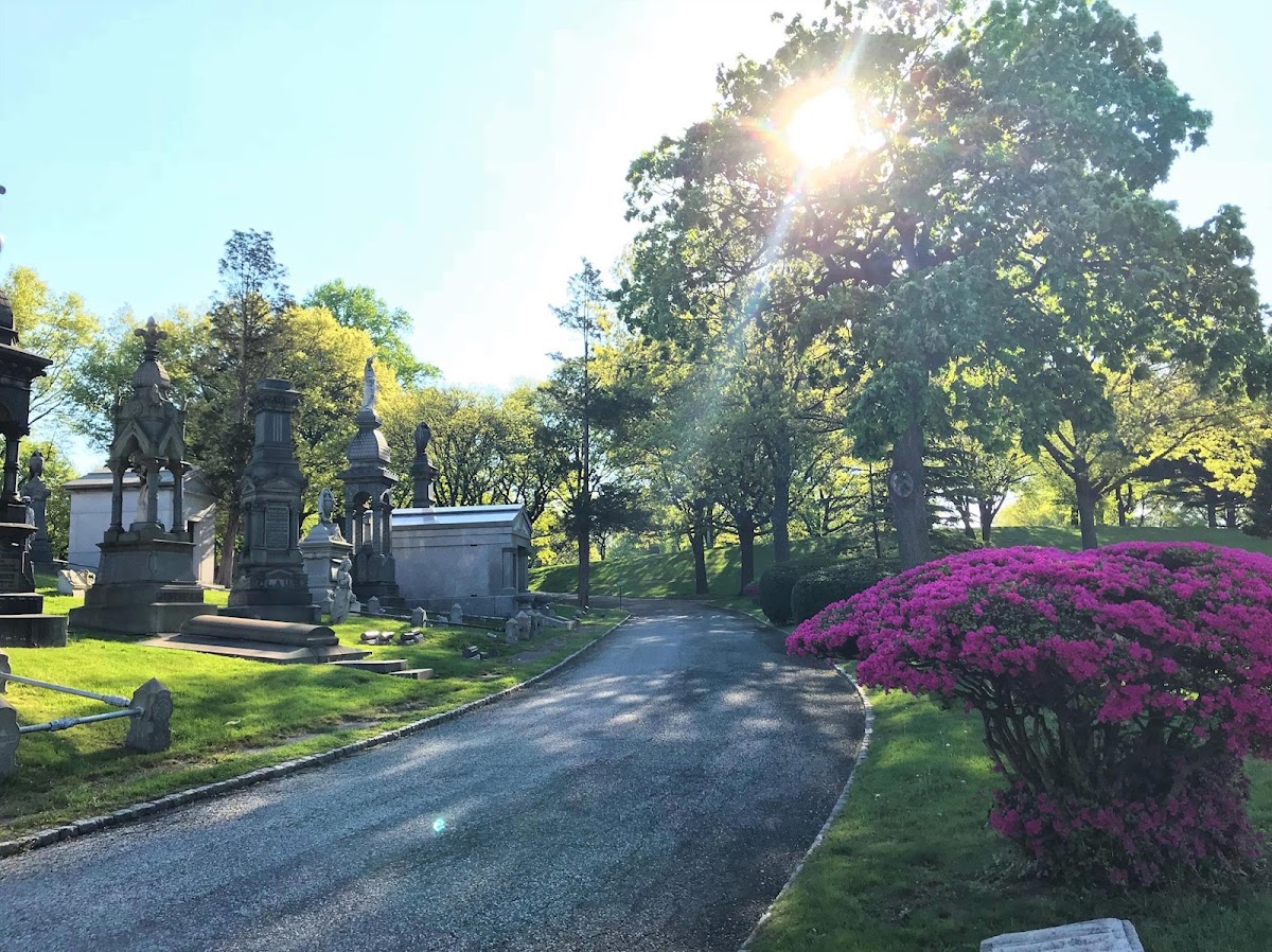 The Evergreens Cemetery cemetery grounds.