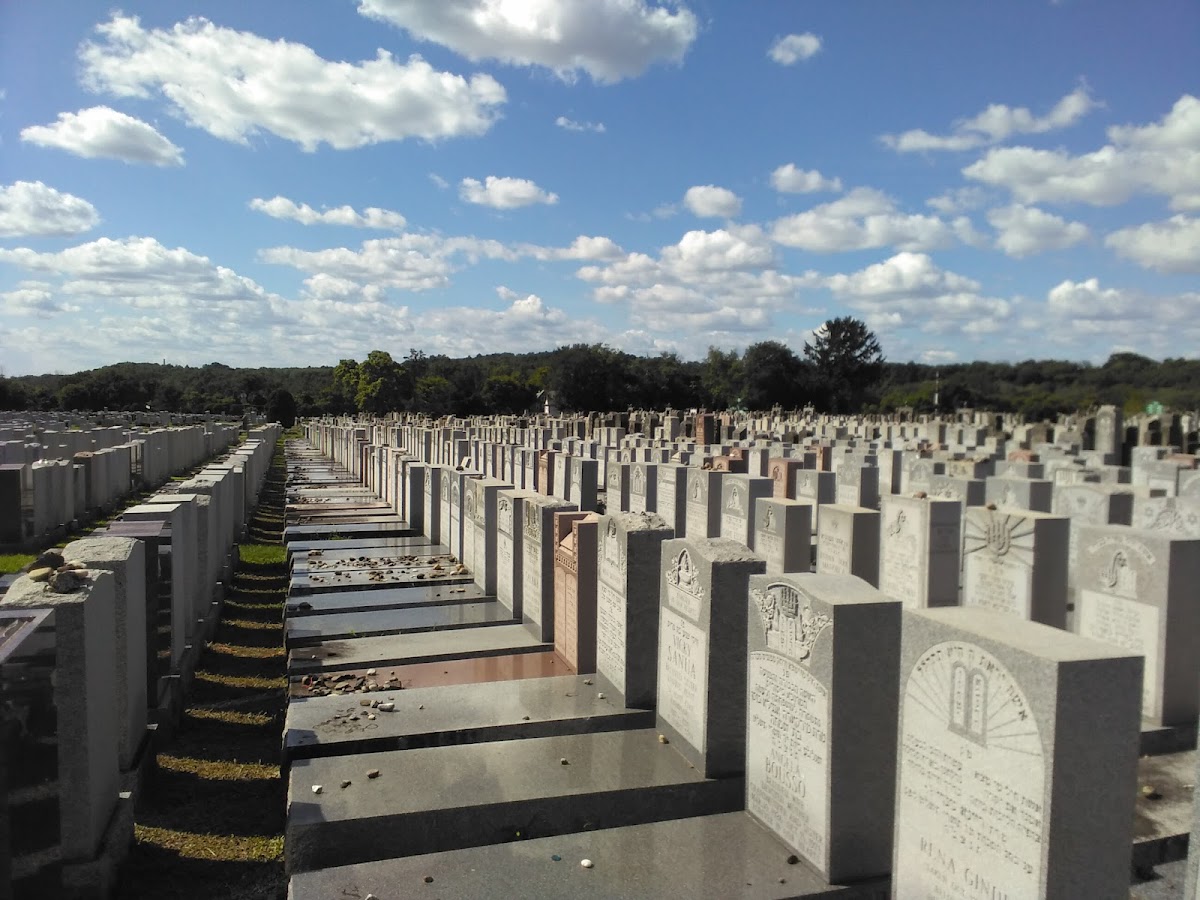 United Hebrew Cemetery cemetery grounds.