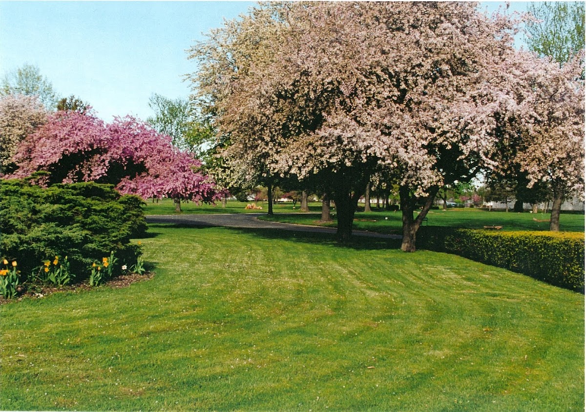 Clover Leaf Memorial Park cemetery grounds.