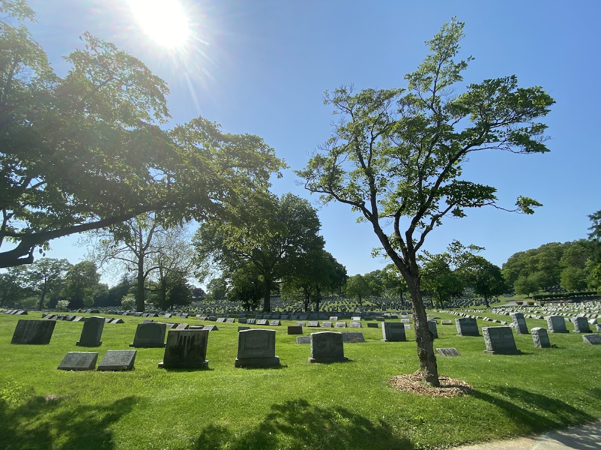 Mount Hope Cemetery cemetery grounds.