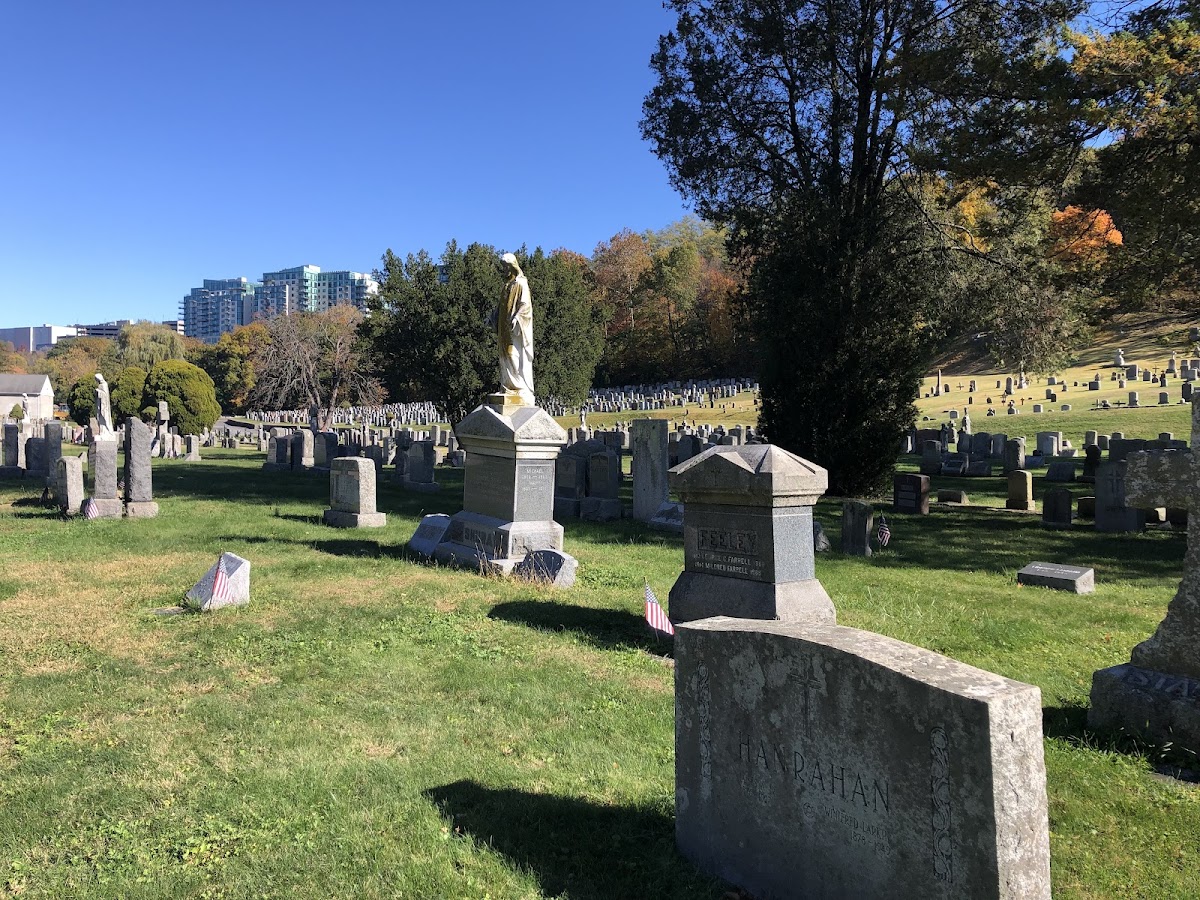 St Mary's Cemetery cemetery grounds.