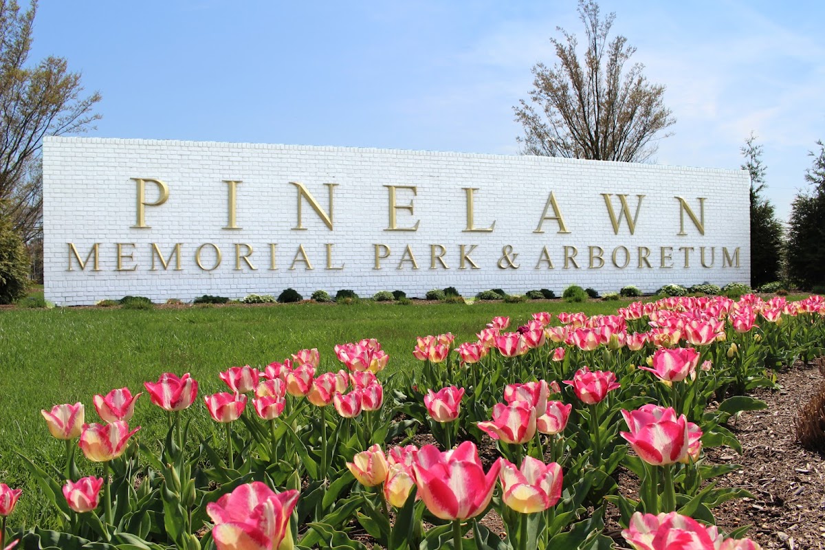 Pinelawn Memorial Park and Arboretum cemetery grounds.