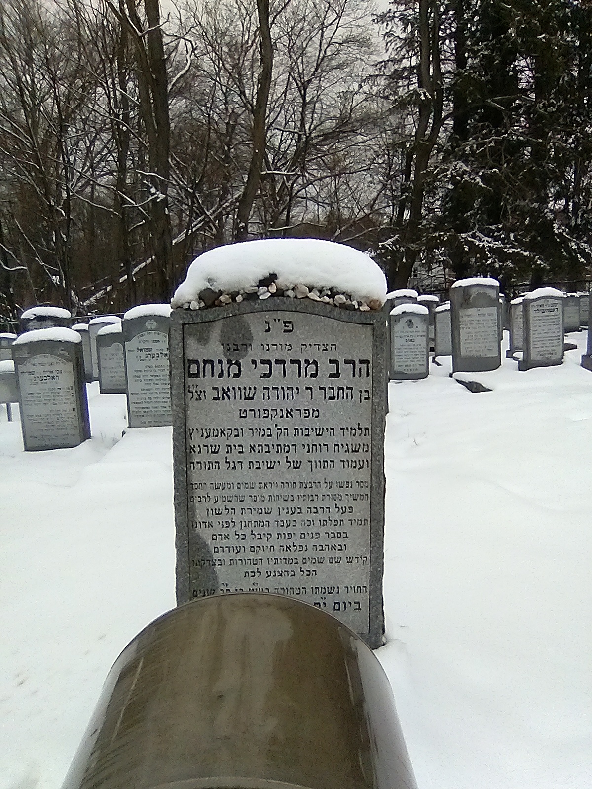 Kever of Rav Mordechai Schwab Zt"l cemetery grounds.