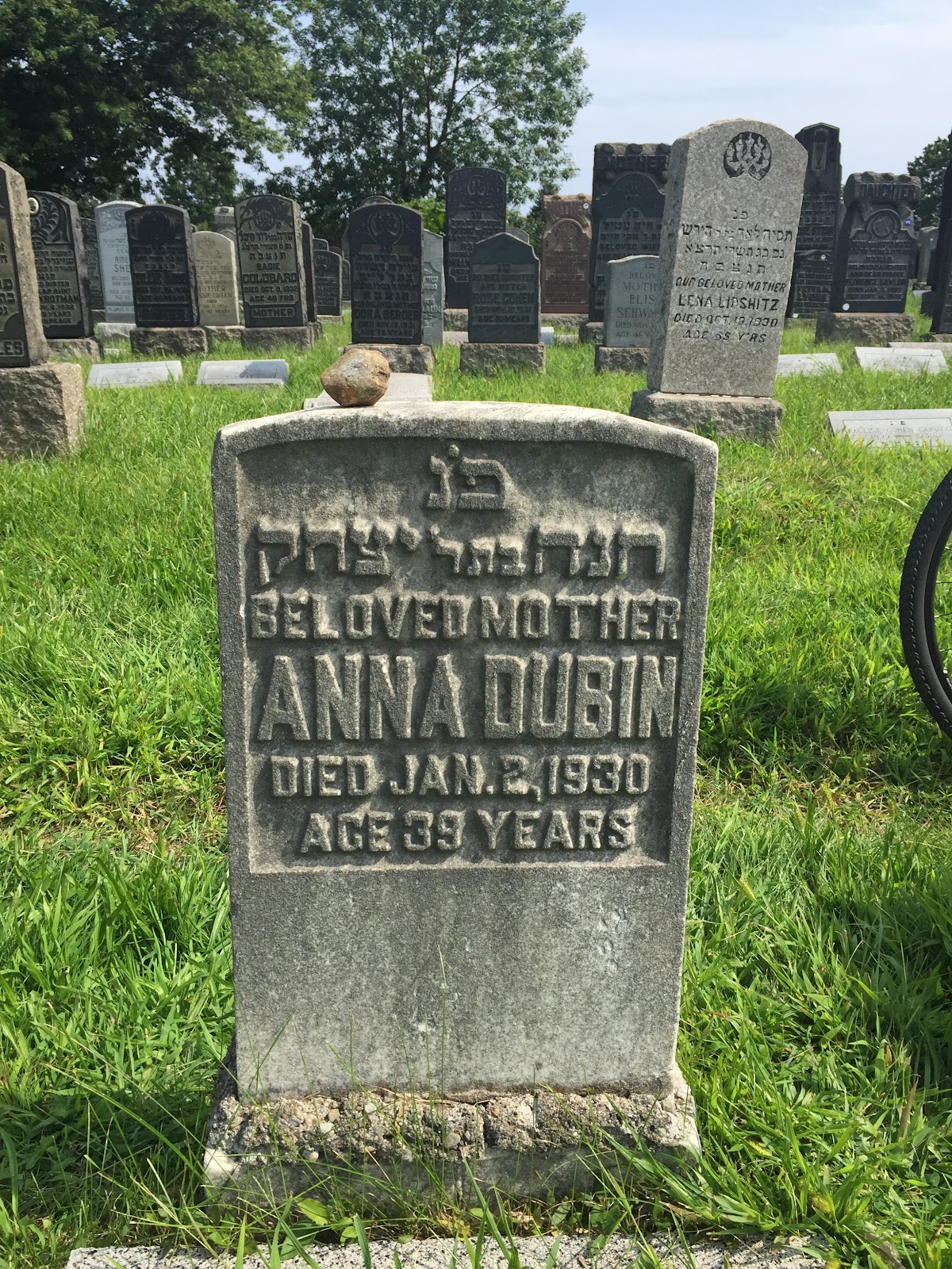 Mount Richmond Cemetery cemetery grounds.