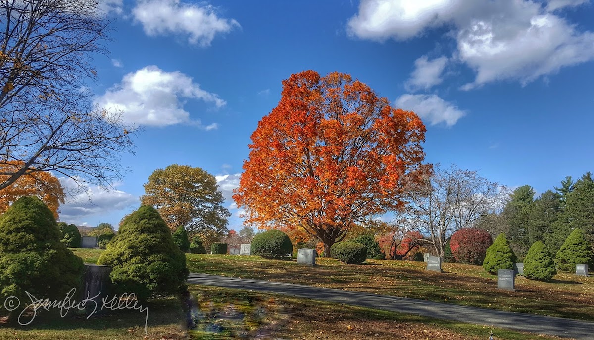Fairview Cemetery cemetery grounds.