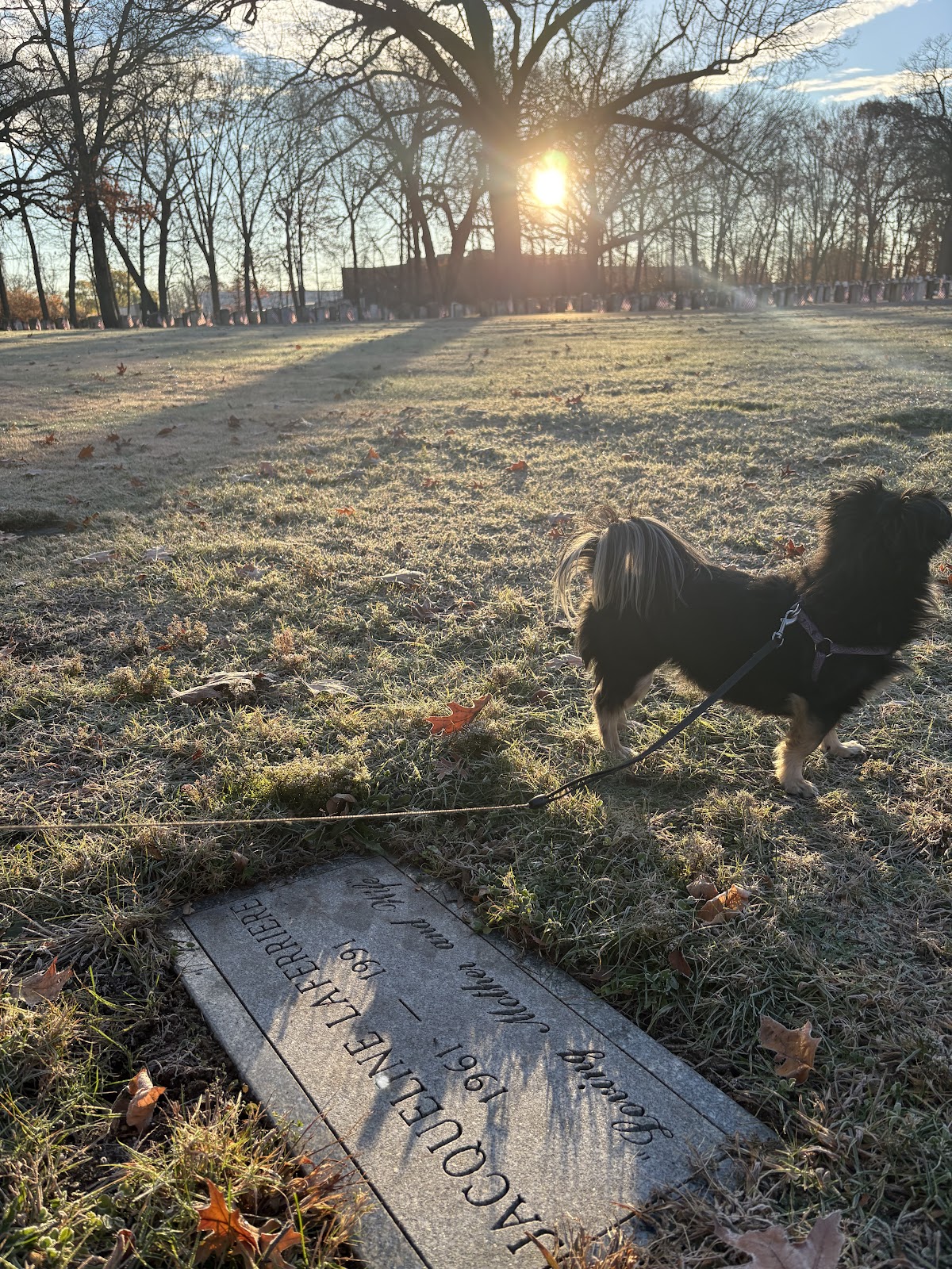 Hillside Cemetery cemetery grounds.